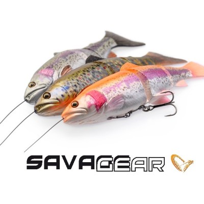 Savage Gear 4D Line Thru Trout  20cm