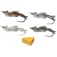 Live Target Field Mouse 3/4oz