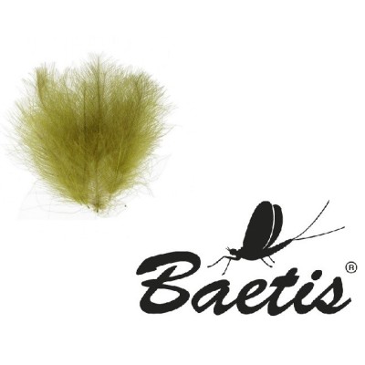 Baetis - CDC 1gr 