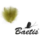 Baetis - CDC 1gr 