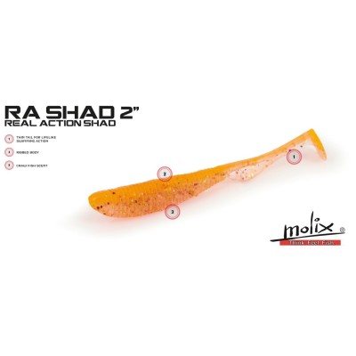 Molix - RA Shad 2"