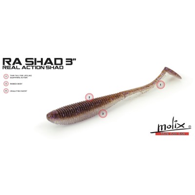 Molix - RA Shad 3"