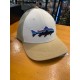 Patagonia Trucker Hat Roy Trout WITN