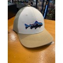 Patagonia Trucker Hat Roy Trout WITN