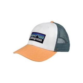 Patagonia P-6 Logo LoPro Trucker Hat WTPE