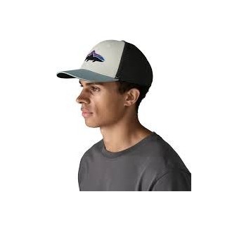 Patagonia fitz roy trout trucker hat WBSA