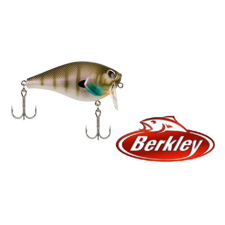 Berkley - Cutter 110