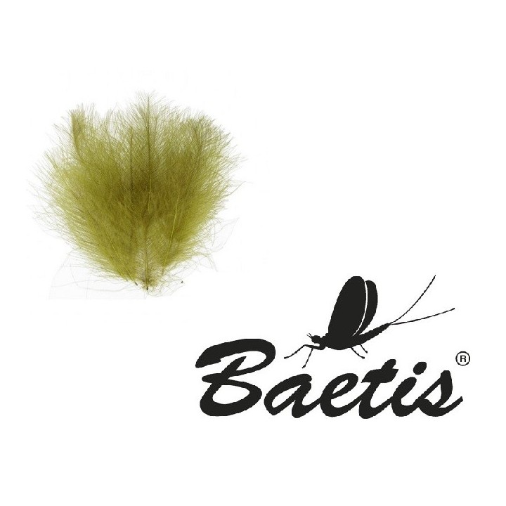 Baetis - CDC 1gr 