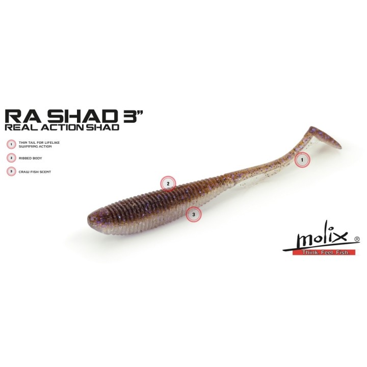 Molix - Caleo Craw