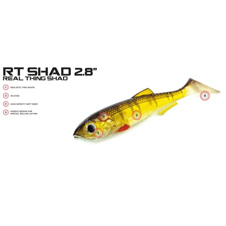 Molix - Real Thing Shad 2,8"