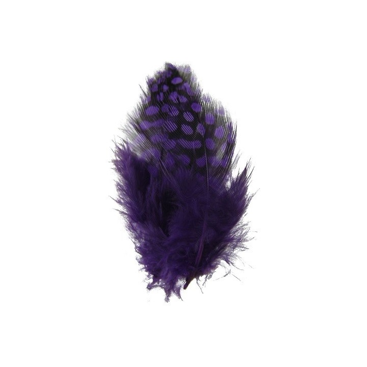 Spirit River UV2 Large Eye Guinea
