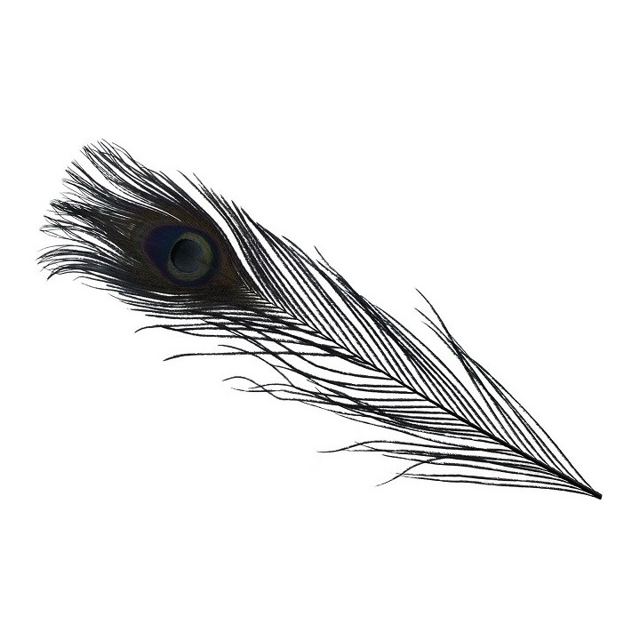 Spirit River Dyed Peacock Eyes