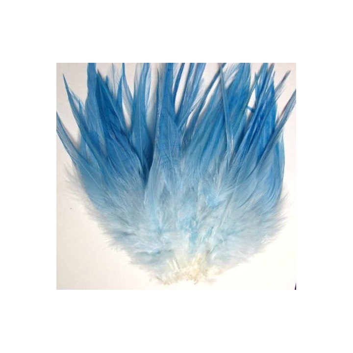Giorgio Bnecchi Gallo Hackles Large