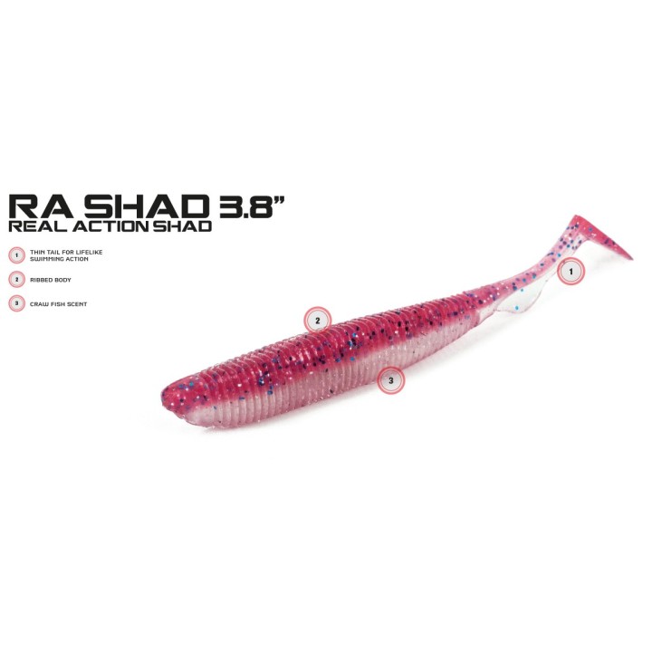 Molix - Ra Shad 3'8"