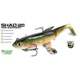 Molix Shad 120