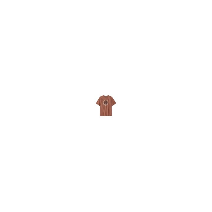 Patagonia Men's Take a Stand Responsibili-Tee