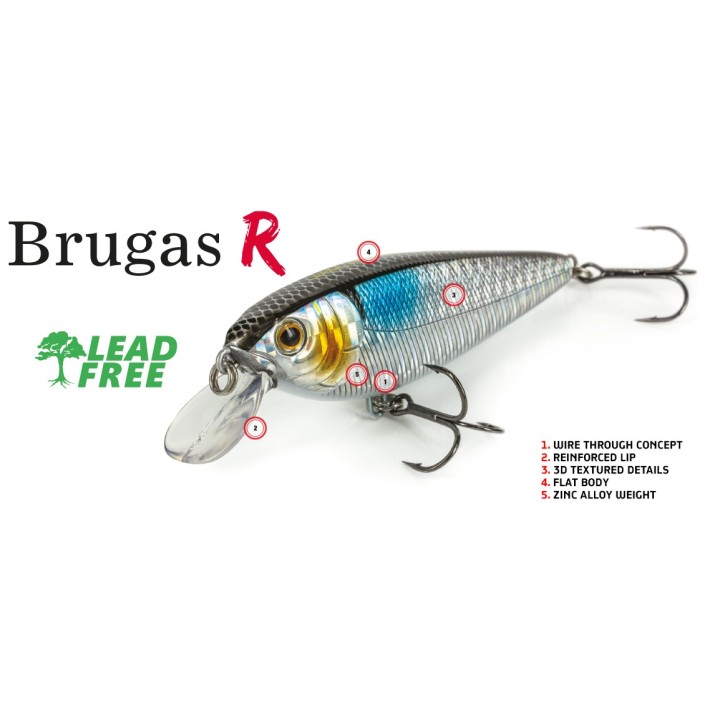 Molix Brugas R