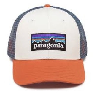 Patagonia P-6 Logo LoPro Trucker Hat WHRL
