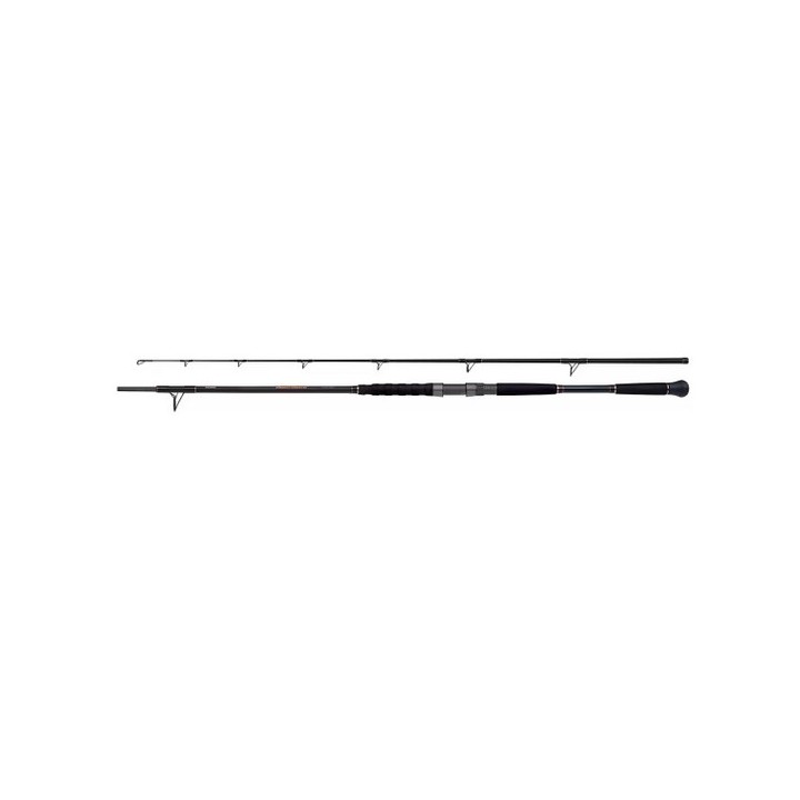 Shimano Beastmaster AX Catfish Lure 2,20m 120g