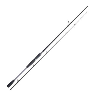 Shimano Yasei Pike XH Spin 2,50m 40-120g