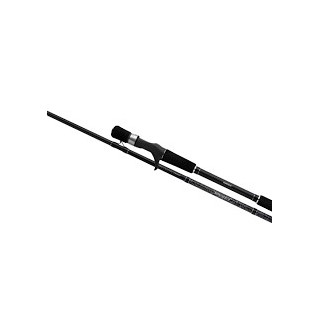 Shimano Yasei Pike XH Cast 2,50m 40 -120g