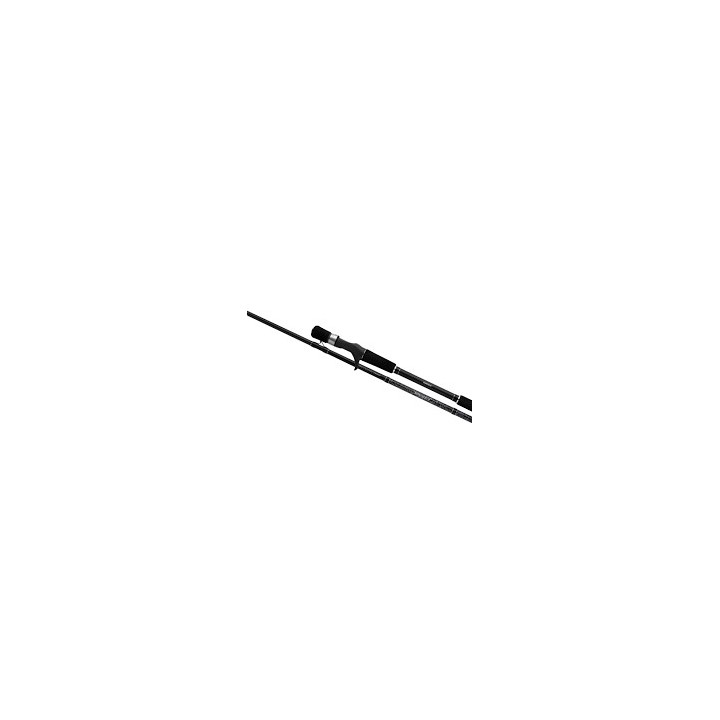 Shimano Yasei Pike XH Cast 2,50m 40 -120g