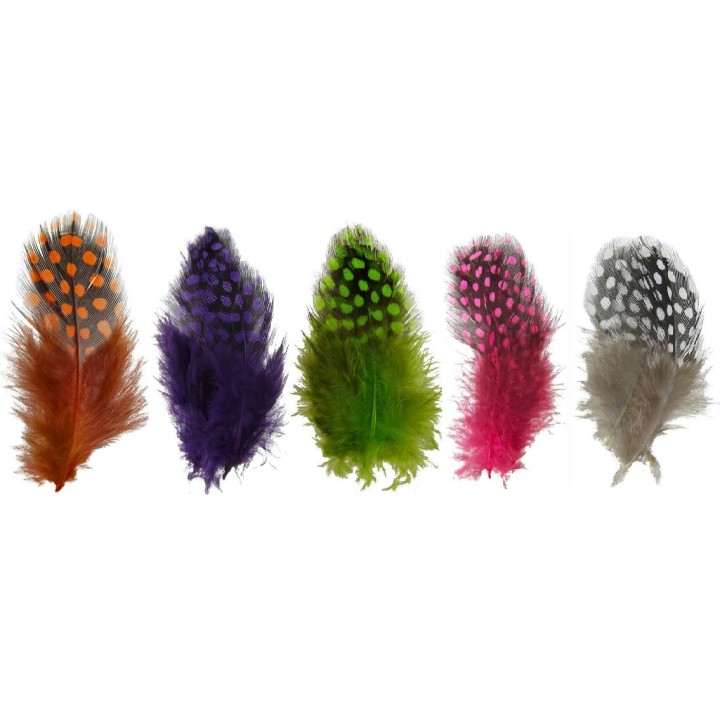 Spirit River UV2 Large Eye Guinea