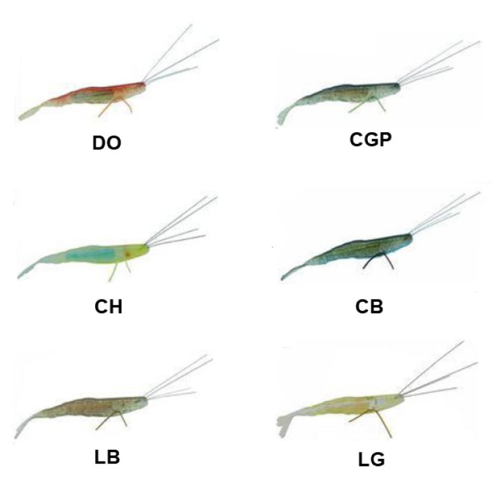 Berkley - PowerBait Yabai Shrimp 3,2"