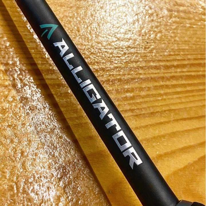 Favorite - Alligator