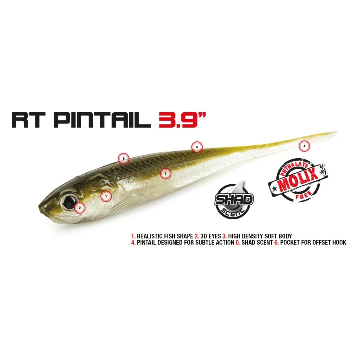 Molix RT Pintail 3.9"