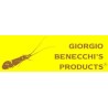 Giorgio Benecchi